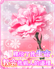 节日祝福彩信母亲节彩信无论将来怎么样，我永远爱您妈妈