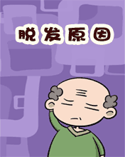 其它彩信养生彩信脱发原因