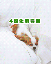 节日祝福彩信雨水彩信2515