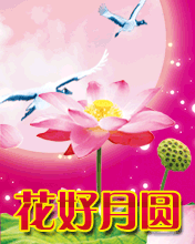 节日祝福彩信中秋节彩信花好月圆欢度中秋